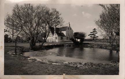 HolmansFarm