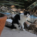 01-IMG 7983