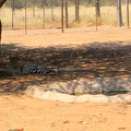 02-IMG 7984