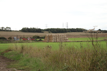 IMG 3600