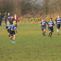 IMG 4536