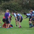 IMG 4592