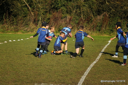 IMG 7680