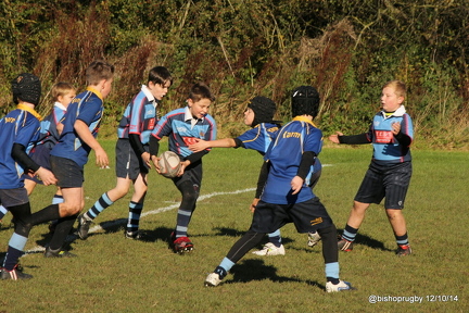 IMG 7688