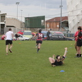 IMG 4538